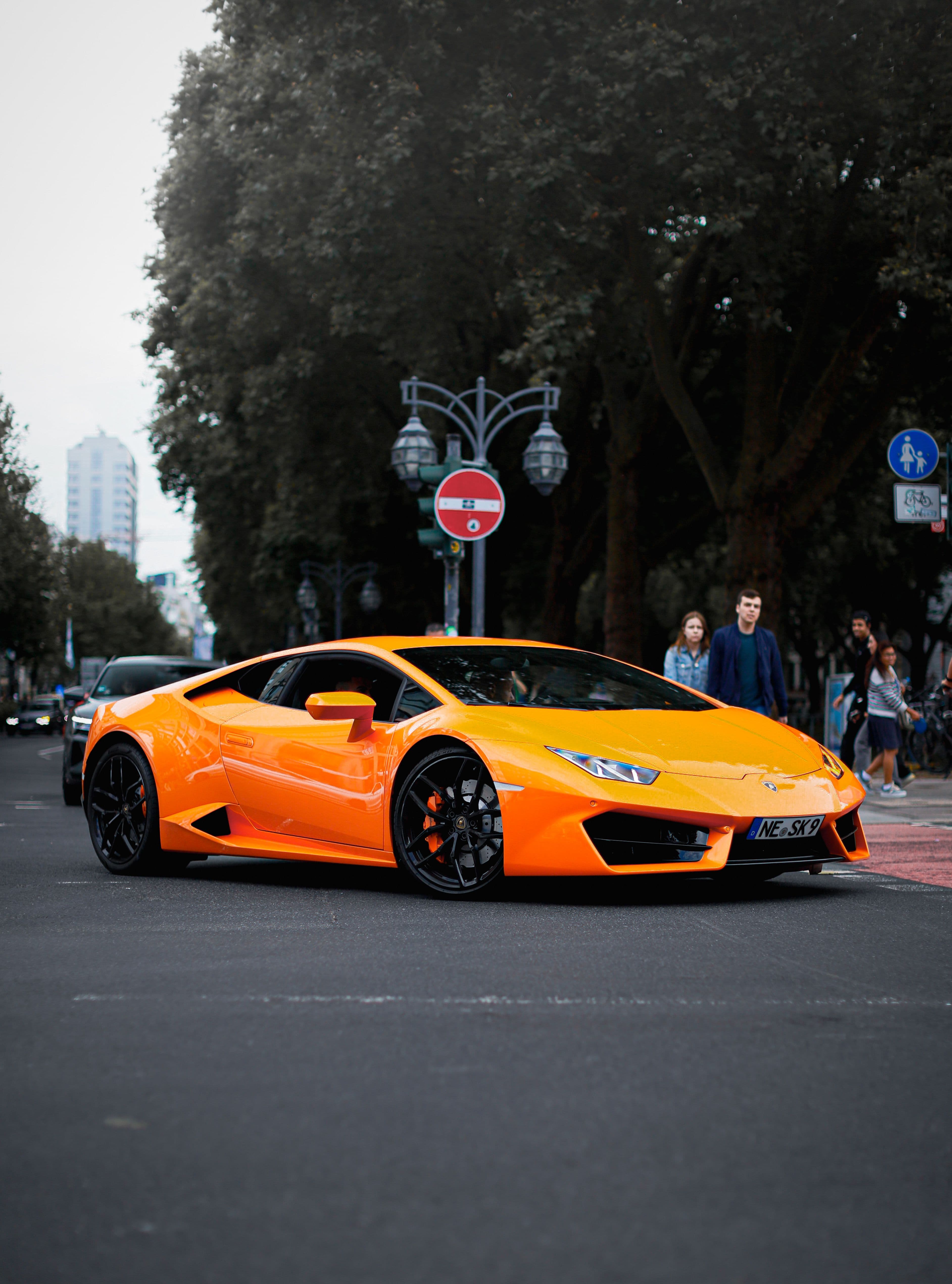 Axiom Auto Lab PPF visual 3